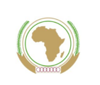 China to play bigger role in Africa's infrastructure construction after AfCFTA taking effect 