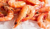 Feature: Prawn exports highlight Argentina-China win-win ties 