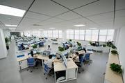 Nearly half of listed brokerage firms see profit up in January 