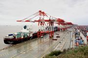 Two firms from E China's Shanghai and Zhejiang to jointly develop port area in Zhejiang