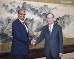 Chinese vice president meets Djibouti FM