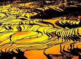Guangxi to support agricultural development
