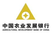 China's only rural policy bank becomes leading bonds issuer