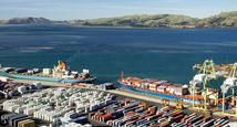 New Zealand exports to China up 18 pct