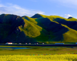China Focus: Industrial upgrade moves fast in Xinjiang