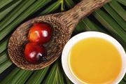 Malaysian palm oil exports to China receive boost with signing of purchase agreements 