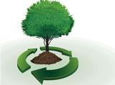 China ready to work with ROK on improving environment 