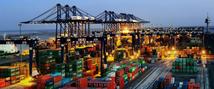 Guangdong foreign trade steady in February