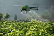 Across China: Smart farming takes root in Chinese agricultural province