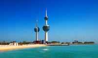 Interview: Kuwait needs Chinese expertise, technology to face environmental governance: expert