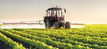 Zambian gov't says partnering with China to boost agricultural production 