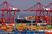 Interview: China's Belt and Road Initiative significant for Asia's development: expert