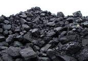 China's benchmark power coal price rises