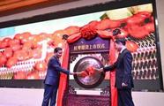 Chinese exchange launches jujube futures