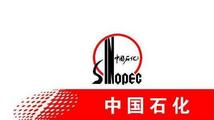 Sinopec's e-commerce platform records transactions worth 4.6 bln USD