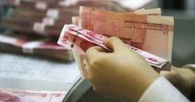 Overseas accounting firms required to report online for panda bond audit 