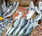Imports of aquatic products from B&R countries via Fuzhou port rise in Q1