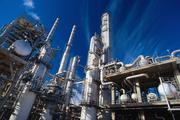 China's industrialization demonstration bases faring well 