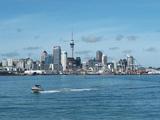 Interview: New Zealand accelerates pace to involve with Belt and Road Initiative, says expert 