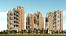 Guideline on reforming property rights system for natural resource assets published