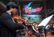 Sino-French festival to be held in 35 cities this year 