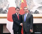 Chinese, Japanese foreign ministers hold talks in Beijing 
