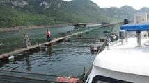 SW China Guizhou to quicken ecological fishery development