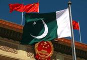 Feature: Pakistani sinologist prepares master program for promoting BRI