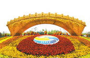 Interview: Belt and Road forum marks milestone for BRI's future, says economist