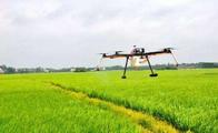 China's digital agriculture to usher in fast development, analysts  