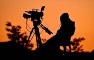China's documentary industry grows twelvefold over past decade