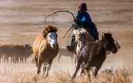 Central Mongolian province eyes attracting more Chinese tourists: official