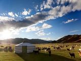 Mongolia attaches great importance to Mongolia-China expo: agriculture minister