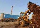 China biomass power generation increases 16.7 pct in Q1