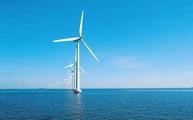 China, France actively advance offshore wind power cooperation