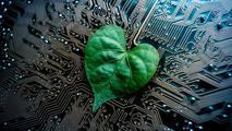 China to formulate standards for green technology innovation enterprises