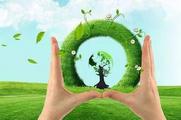 Interview: UK keen to partner with China on green development: British official