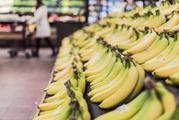 Cambodia directly exports 1st cargo of bananas to China