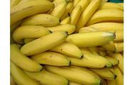 First batch of Cambodian bananas arrives in Shanghai