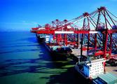 Chinese, Brazilian ports establish sister-port relationship