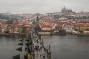 Overseas Chinese entrepreneurs explore business opportunities in Czech Republic