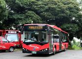 BYD delivers electric buses to Japan 