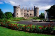 Seminar on strengthening China-Ireland ties at local levels opens in Cork