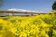 Measures set to empower Yangtze River Delta