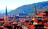 Chinese experts visit Czech Republic to promote traditional Chinese medicine 