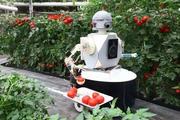 Interview: Spanish robotics industry wants to be in Chinese market "at all costs": business leader