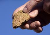 China's economic planner seeks advice on rare earth industry