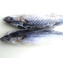 Chinese researchers turn fish byproducts to treasure