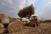 China Focus: Turning waste into wealth, China steps up straw utilization in rural areas