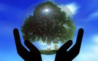 Spotlight: Japanese, Chinese tech firms jointly sowing seeds of eco-innovation